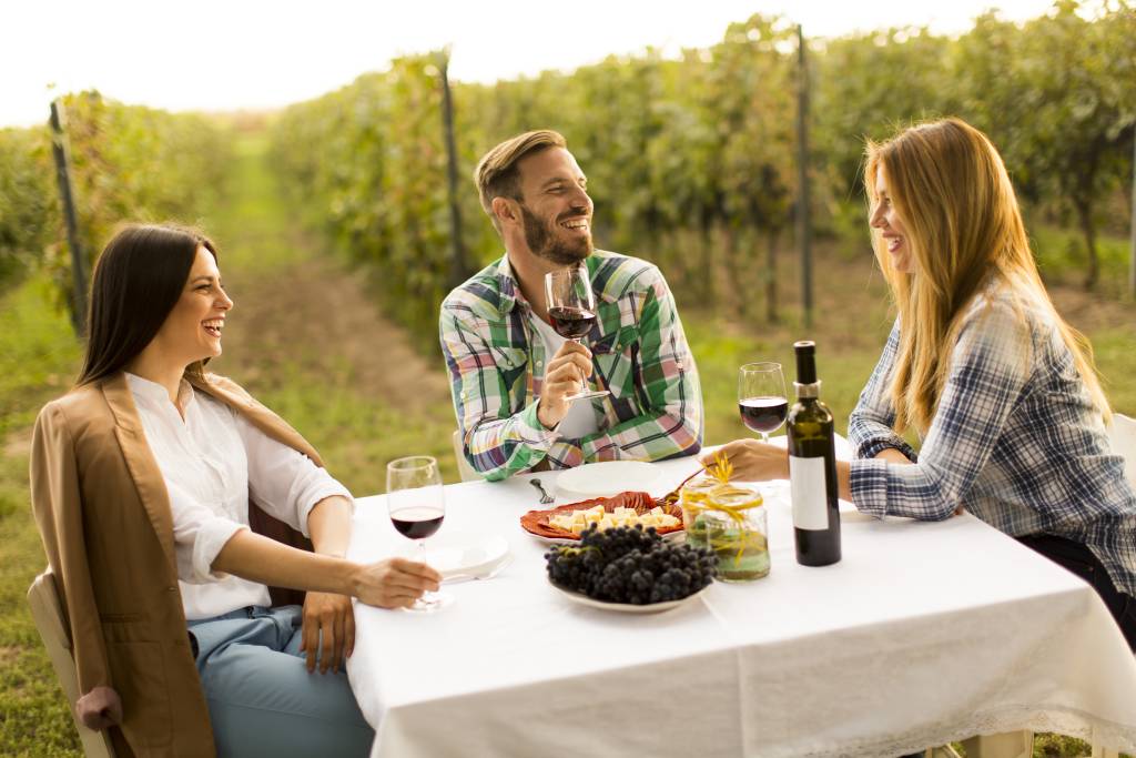 Wine and Food Pairing in the Vineyard